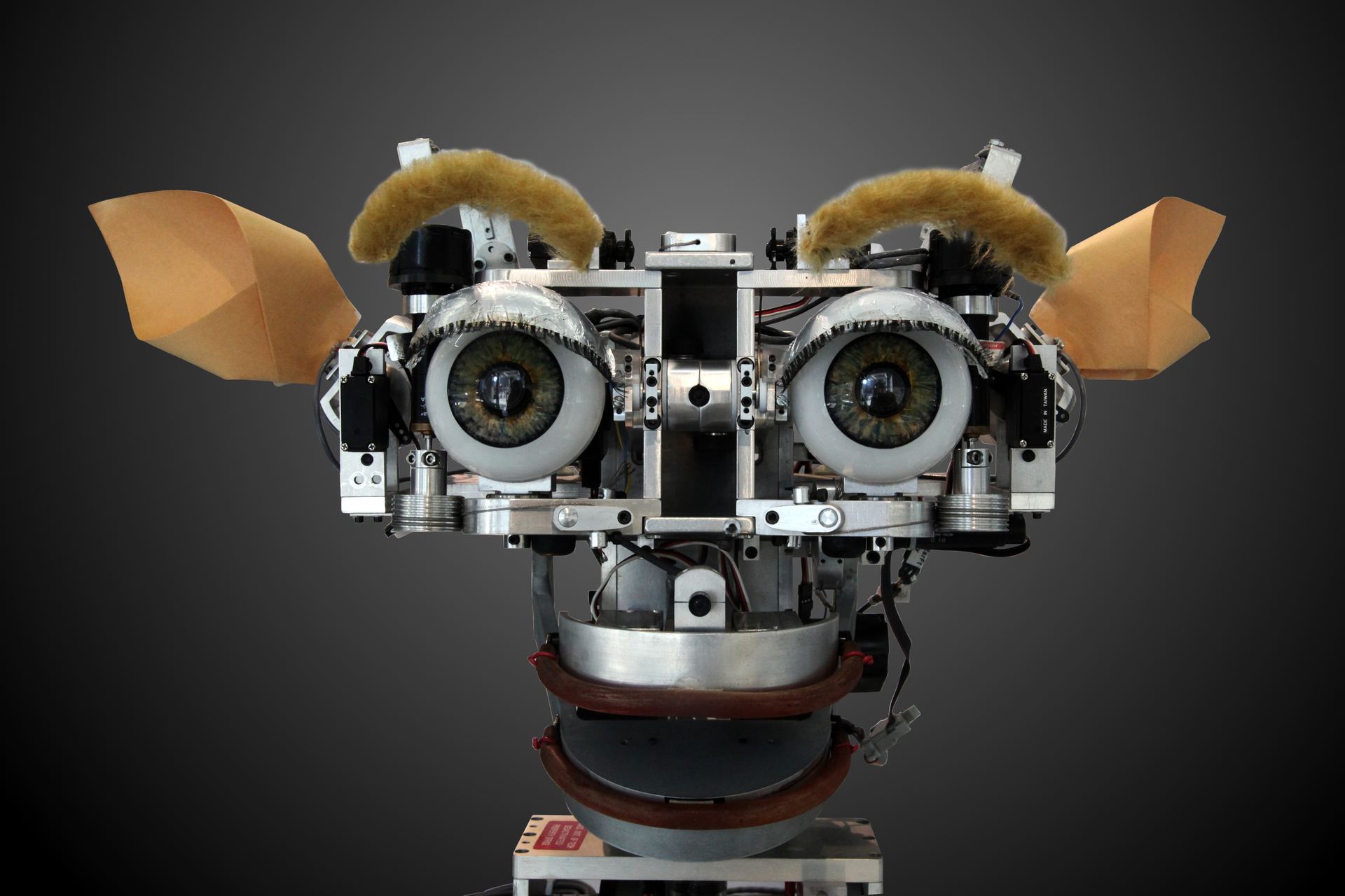 Kismet, an expressive robot head with large eyes and ears, built at MIT